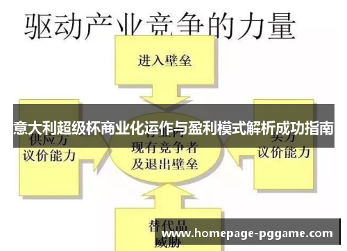意大利超级杯商业化运作与盈利模式解析成功指南