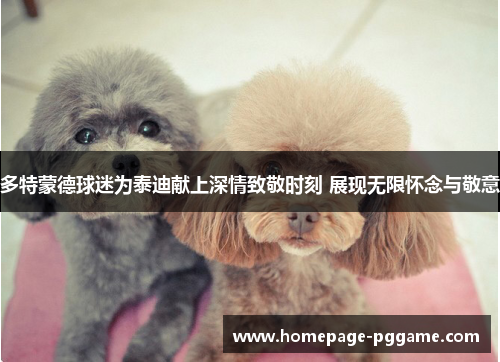 多特蒙德球迷为泰迪献上深情致敬时刻 展现无限怀念与敬意