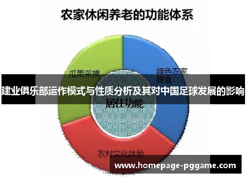 建业俱乐部运作模式与性质分析及其对中国足球发展的影响