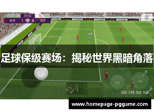 足球保级赛场:揭秘世界黑暗角落 足球保级赛场:揭秘世界黑暗角落